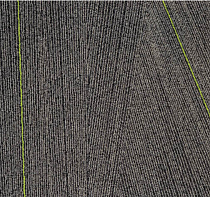 Milliken Facet fca 141-79 Anthracite Lime фото 1 | FLOORDEALER